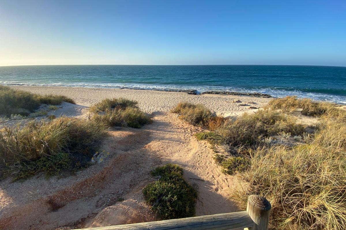 Sandy path down to a beach. 