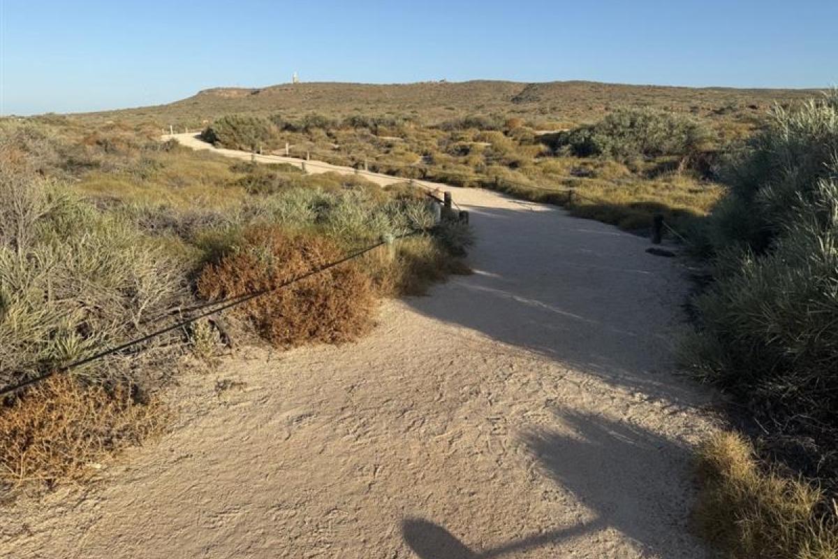 Sandy path up to the dunes covered in low shrubs. 