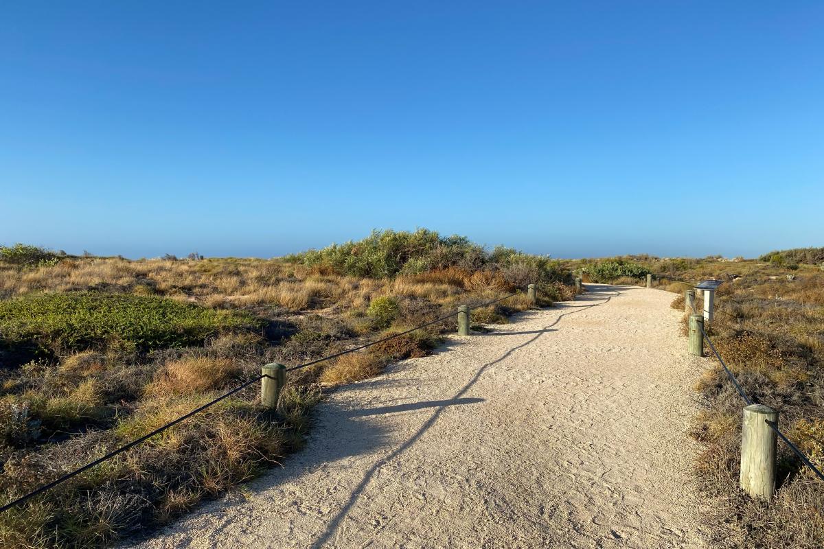 Sandy path next to beach. 