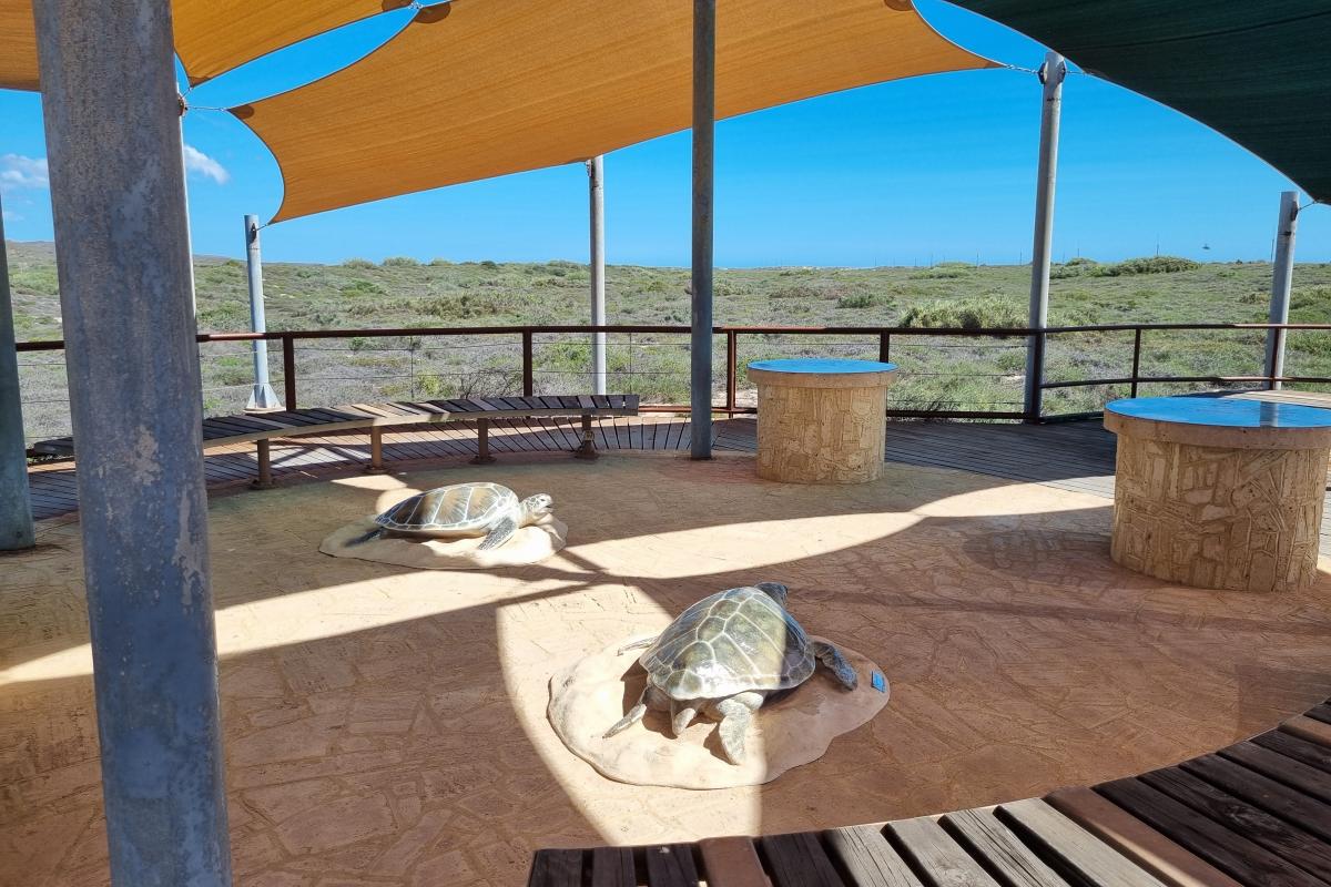 Shaded area with large turtle statues. 