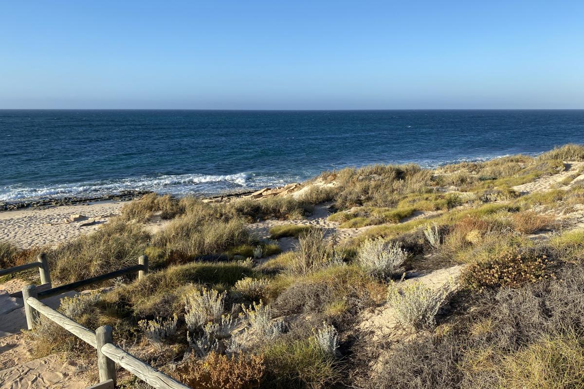 Sandy path down to beach. 