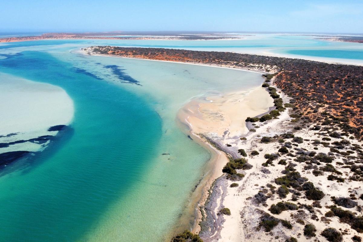 Aerial view of campground next to the ocean. 