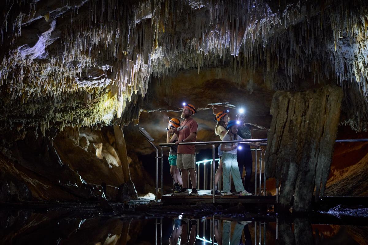 Family visiting Calgardup Cave, standing on boardwalk above reflective lake looking at cave formations. 