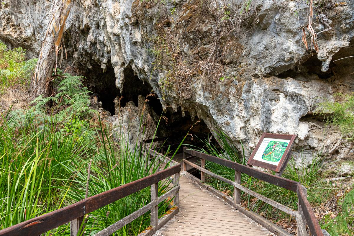 boardwalk entry into Mammoth Cave 