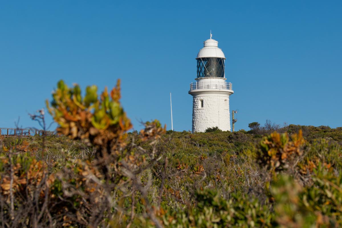 View of Cape Naturaliste Lighthouse from Lighthouse Loop Trail. 