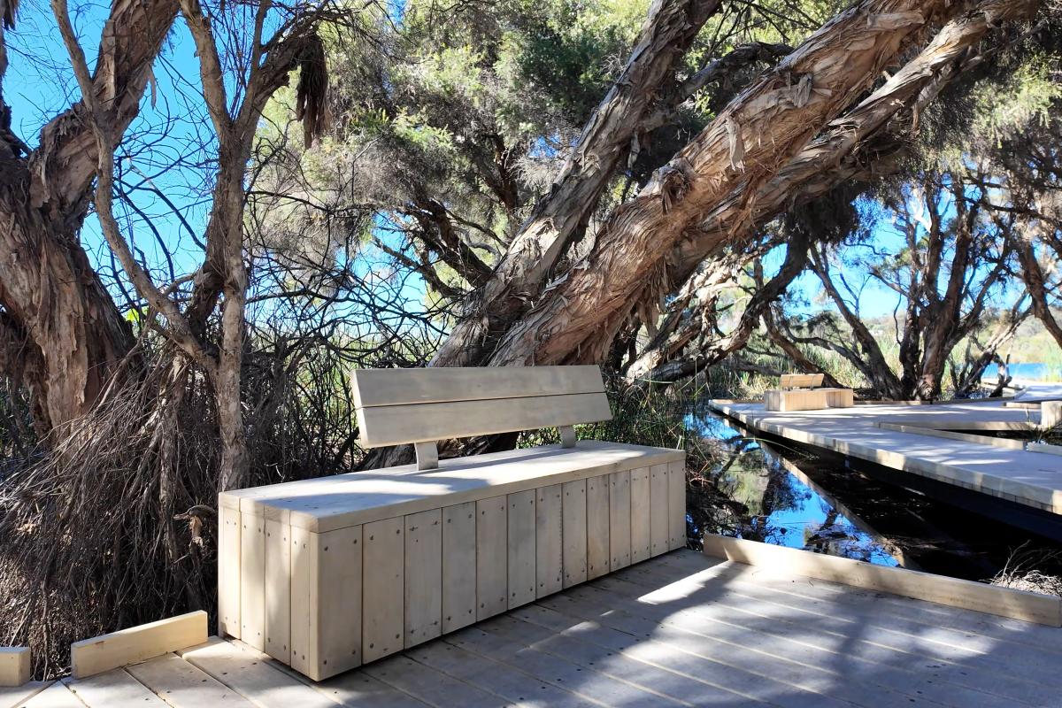 A bench to sit on under a paperbark tree near a boardwalk. 