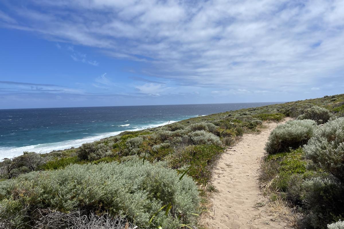 A sandy trail from the carpark to the start of the Cape Naturaliste Loop. 