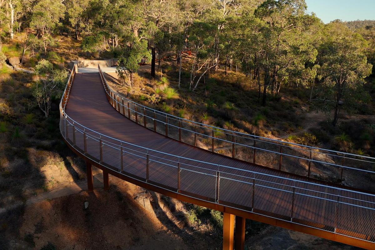 Aerial view of timber walkway surrounded by trees.