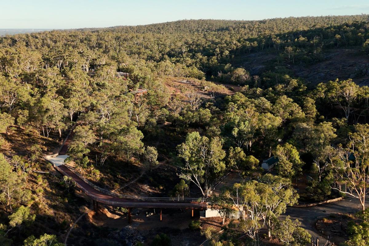 Aerial view of walkway surrounded by trees. 
