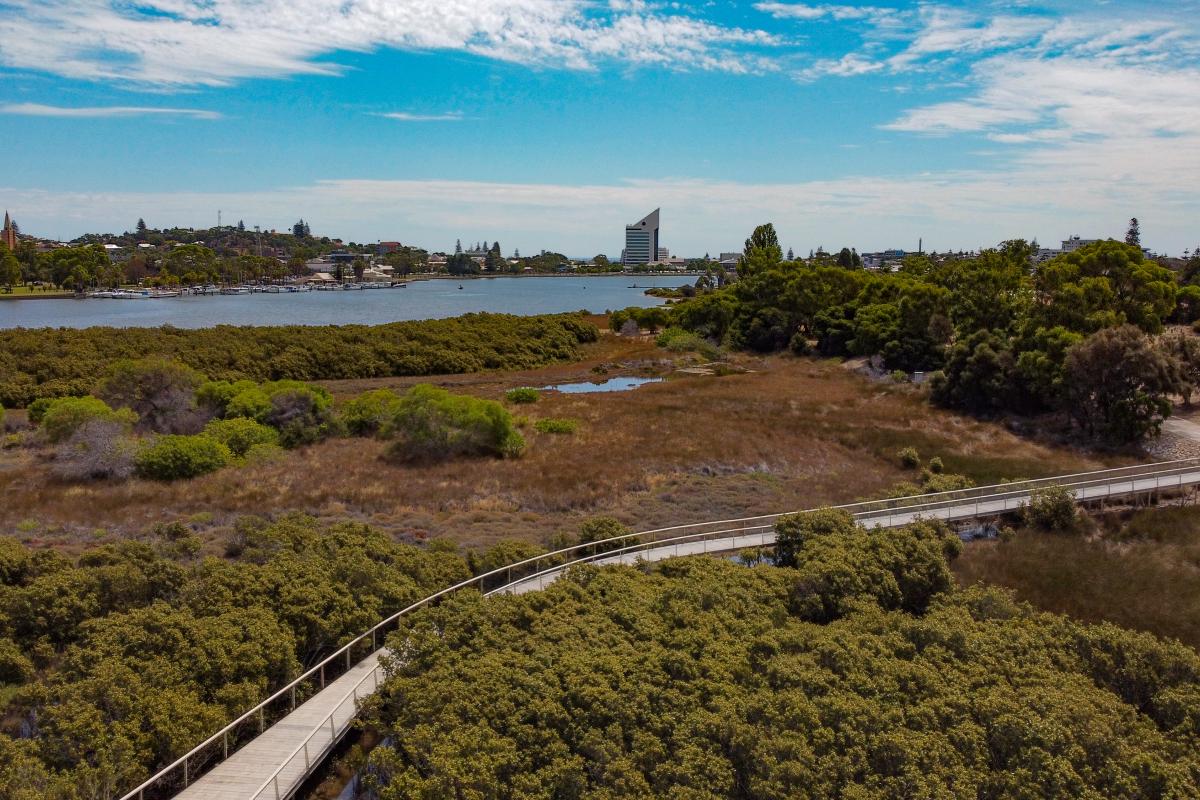View of boardwalk over shrubs and water. 