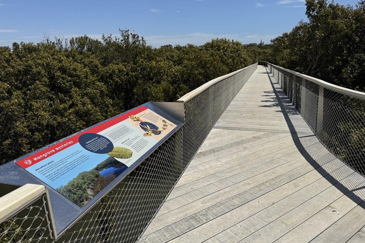 View of boardwalk with signs over shrubs and water.