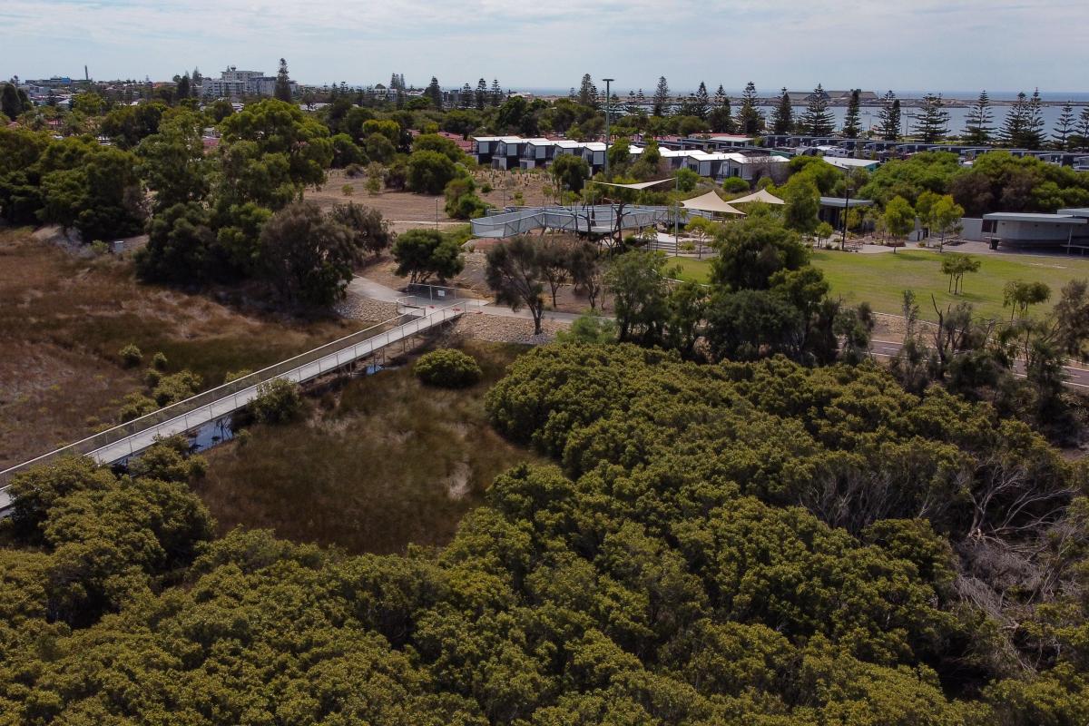 Aerial view of boardwalk over shrubs and water. 