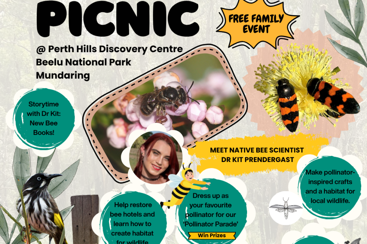 Promo for pollinator picnic acitivity