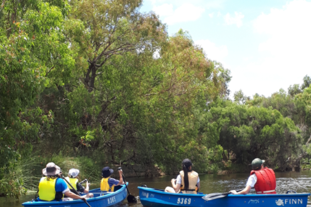Two canoes with 4 people on a river. 