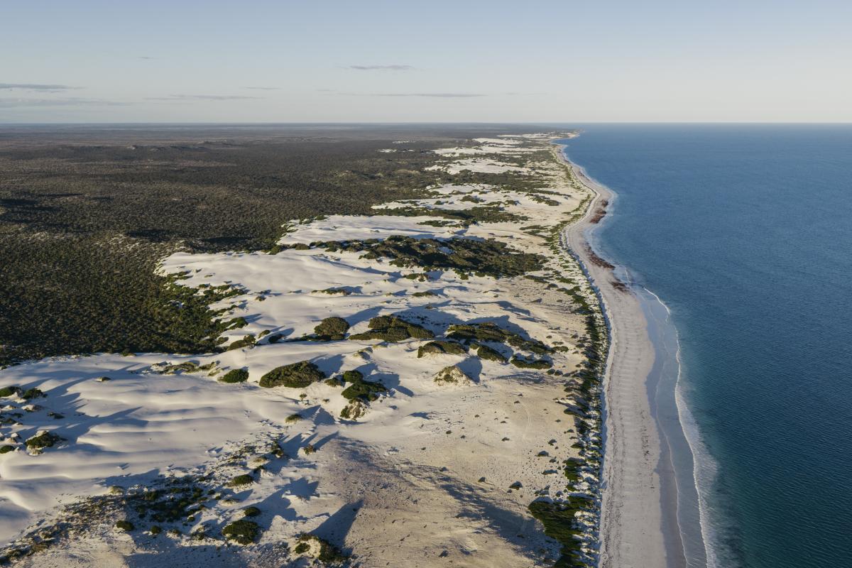 Aerial view of a stretch of white sand and the ocean. 