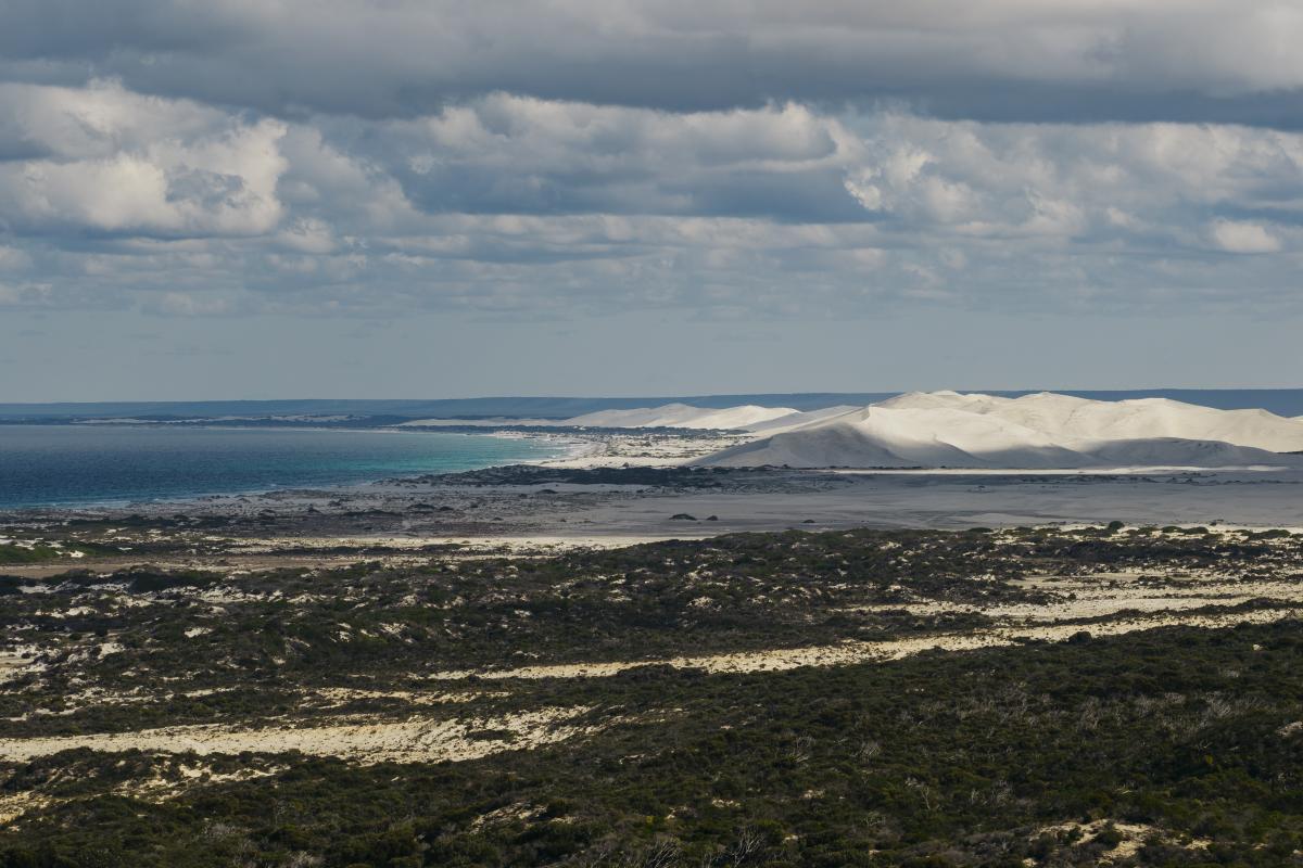 Landscape of green shrubs leading to a large area of white sandy dunes. 
